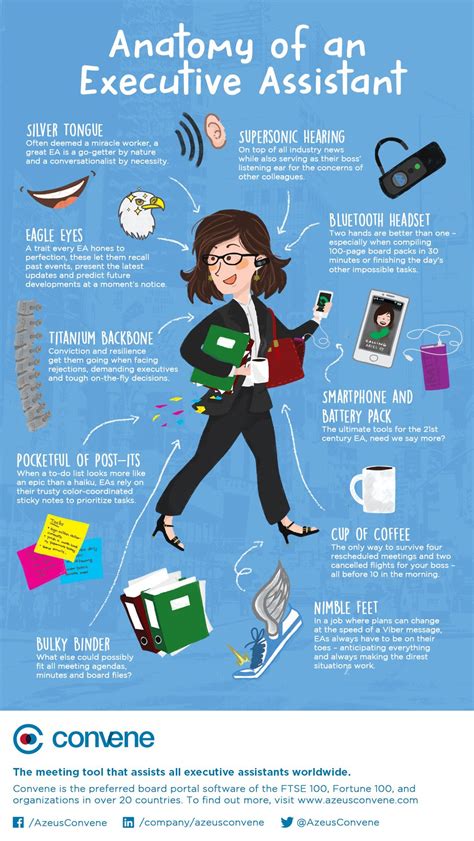 Anatomy Of An Executive Assistant Infographic Executive Assistant Administrative Assistant