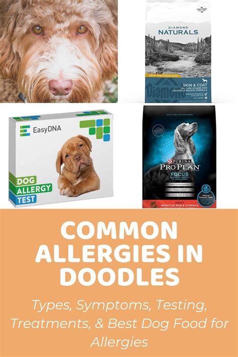Some Dog Food With The Words Common Allergies In Doodles Types