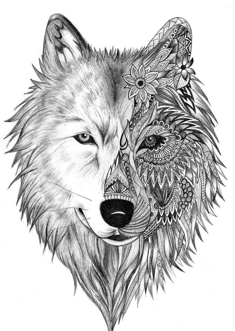 Wolf Animal Drawing At Explore Collection Of Wolf
