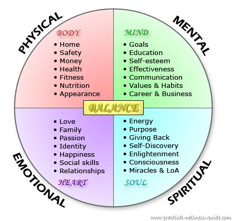 Practical Wellness Guide: Professional & Personal Development Plan
