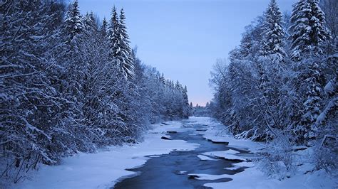 Fotos Von Finnland Natur Winter Schnee Wälder Flusse Bäume