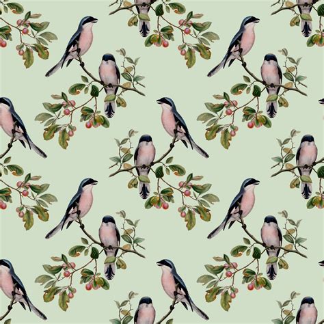 Bird Vintage Background Pattern Free Stock Photo Public Domain Pictures