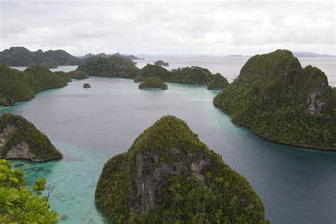 Guide To Diving Raja Ampat Papua Indonesia Travel Guide