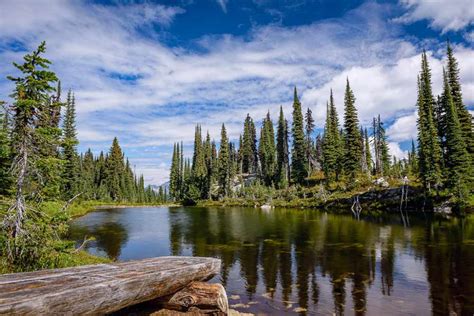 Top 10 Things To Do In Mount Revelstoke National Park To Do Canada