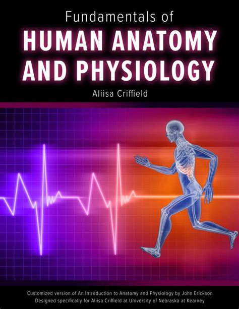 Fundamentals Of Human Anatomy And Physiology Higher Education