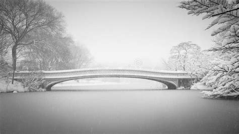 Neve Sul Ponte Dellarco E Sul Lago Central Park New York Immagine