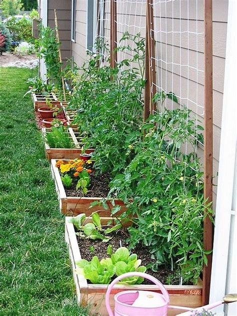 33 Easy Farm Garden Ideas For Beginner Backyard Vegetable Gardens