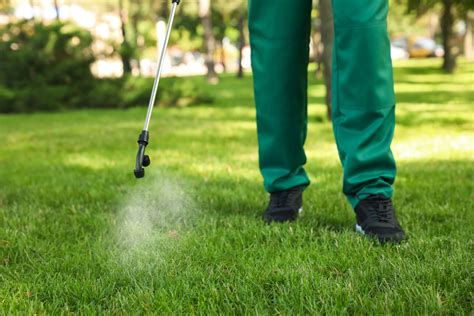 The Benefits Of Professional Lawn Care Services For Commercial