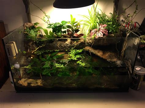 My New Axolotl Diy Build Aquariums