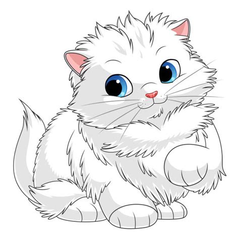 Best Persian Cat Illustrations Royalty Free Vector