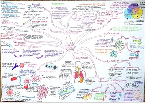 Sb5 Health And Disease Revision Mindmap Edexcel Biology Teaching Resources