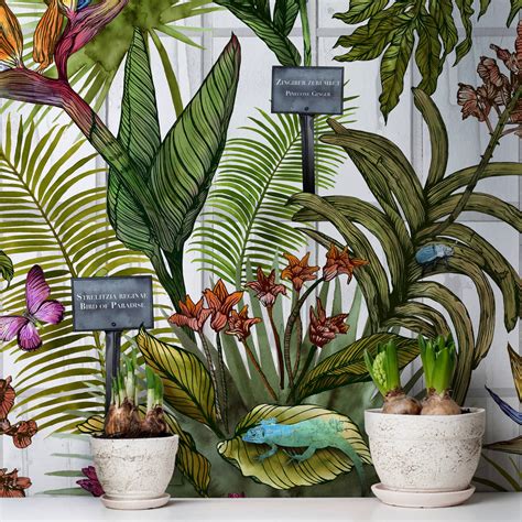 Glasshouse Tropical Botanical Print Wallpaper By Terrarium Designs ...