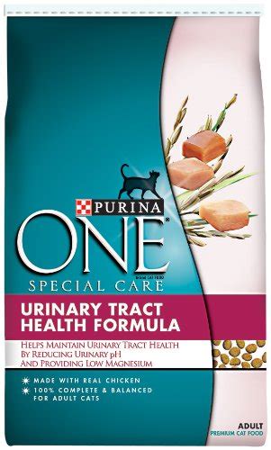 In this case, the best decision is to make your own cat food. SYMPTOMS OF URINARY TRACT INFECTION IN MEN. TRACT ...