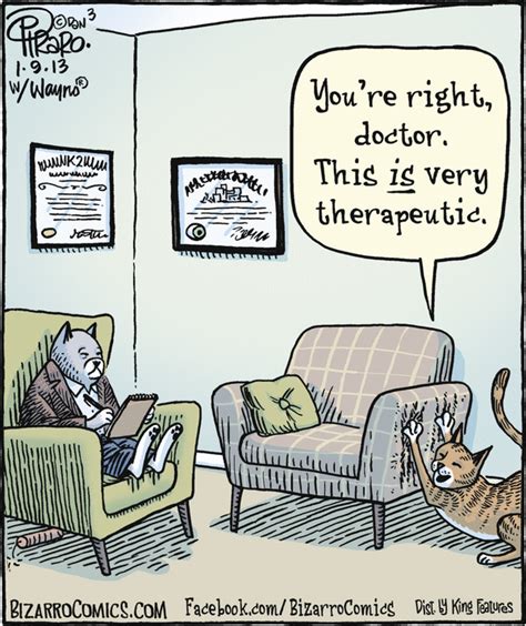 Bizarro Cartoon January 13 2013 Cat Therapy Therapy Humor
