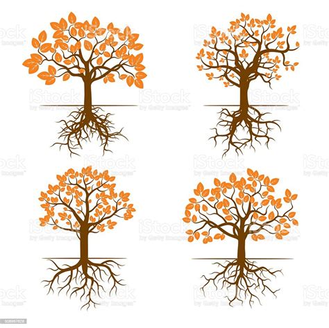 Set Of Color Trees And Roots Vector Illustration Stock Illustration