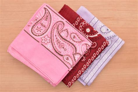 170 Burgundy Bandana Stock Photos Pictures And Royalty Free Images Istock