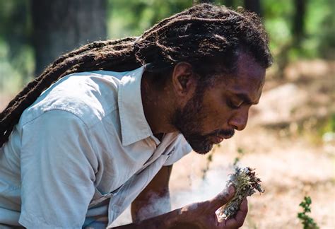 The Bush Doctor Preserving The Ancient Wisdom Of Fynbos