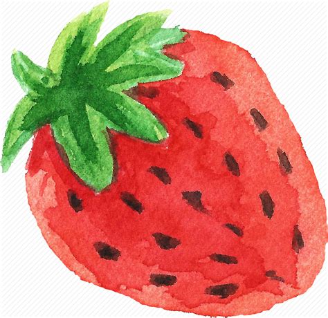 The Best Free Strawberry Watercolor Images Download From 109 Free