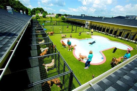 We have grown to 50 locations and continue to expand across the united states. Pet Paradise Resort | Dog boarding kennels, Dog boarding ...