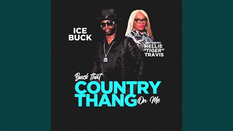 Back That Country Thang On Me Feat Nellie Tiger Travis Radio Edit Youtube Music