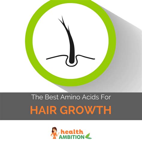 Best Amino Acids For Hair Growth Health Ambition