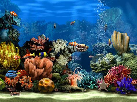 Living Marine Aquarium 2 Screensaver 無料・ダウンロード