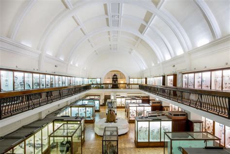 Britains Best Places To See Taxidermy And Natural History Collections