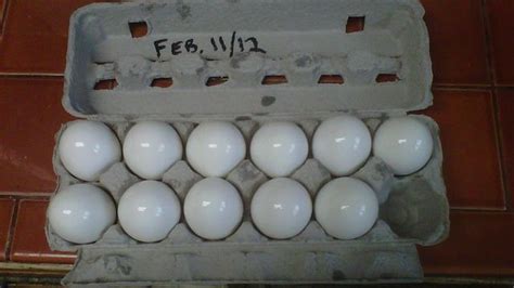 Coat Eggs In Mineral Oil To Keep Them Fresh Longer Preserving Eggs
