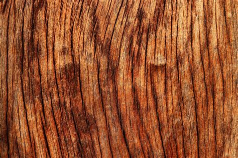Texturas De Madera Wood Texture Fotos E Imágenes En Fotoblog X