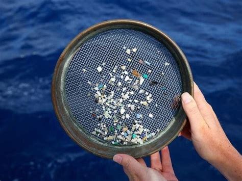 Microplastics From Our Products To Our Plates Bethesda Green