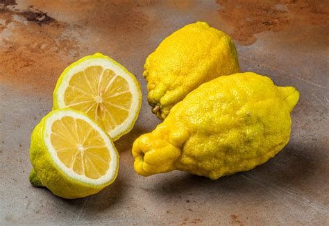 Do Lemons Grow On Trees Or Bushes Top Facts