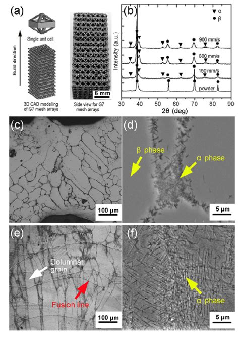 Electron Beam Melted Beta Type Ti 24nb 4zr 8sn Porous Structures With