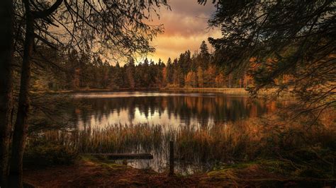 2560x1440 Forest Lake Landscape 1440p Resolution Hd 4k