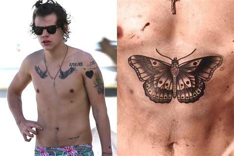 Harry Styles Gets Huge Transgender Butterfly Tattoo As 1d Blasted For