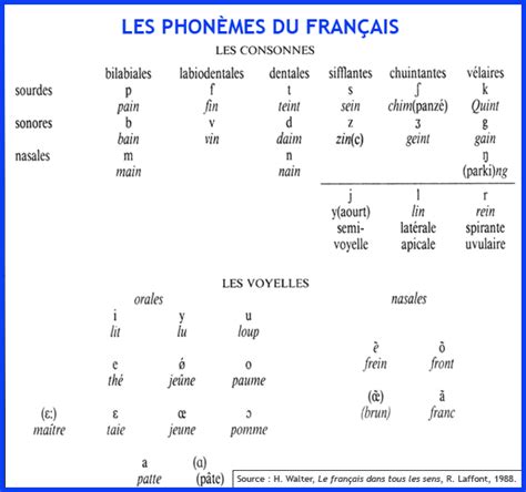 Les Phonèmes Du Français Prononciation Francaise Vocabulaire