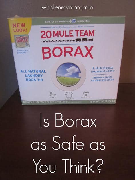 Borax Is It Safe Find Out Here
