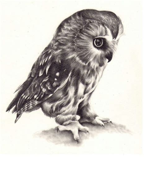 Realistic Owl Tattoo ️ Owl Tattoo Design Tattoos Drawings