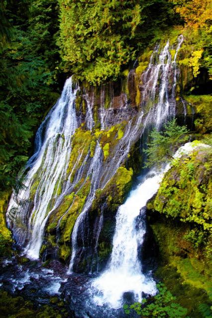 Panther Creek Falls Hiking In Portland Oregon And Washington
