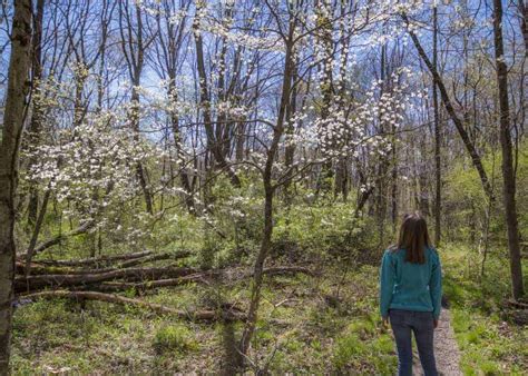 Связаться со страницей raccoon creek state park в messenger. Hiking through the Colorful Wildflower Reserve at Raccoon ...