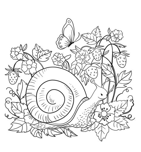 Snail In The Nature Coloring Page Free Printable Coloring Pages For Kids