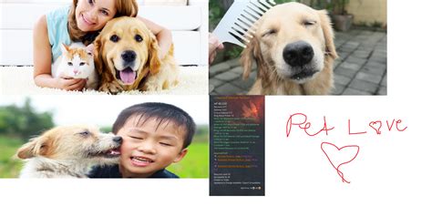 Pet Love