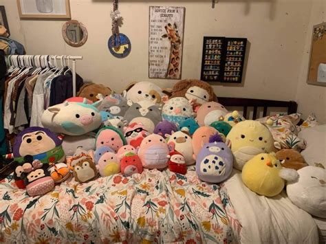 Popular Plush Toys Squishmallows Are Big Business In Northern Colorado
