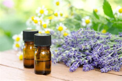 Fungal infections that appear on the skin are one of the most common infections in humans. Best Essential Oils for Nail Fungus
