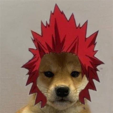 Kirishima Dog Icon Anime Animals Cute Icons