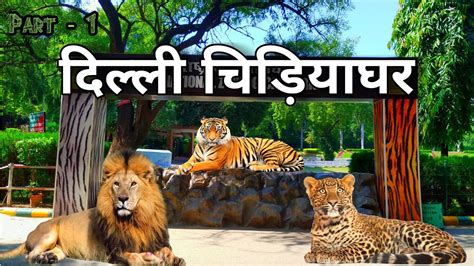 Delhi Zoo दिल्ली चिड़ियाघर National Zoological Park Delhi India
