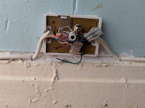 Symptoms of battery acid poisoning. Dog ate my internet. What kind of cable do I need to fix ...