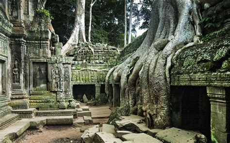 Check Out This List If You Only Have 3 Days In Siem Reap Jungle