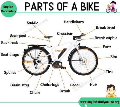 Bike Parts Different Parts Of A Bike With Interesting Esl Image