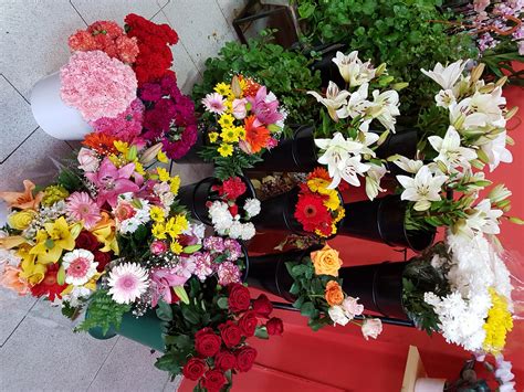 Maybe you would like to learn more about one of these? Las mejores direcciones para Flores Y Plantas en Santa ...