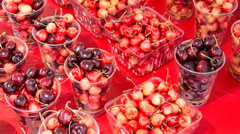 A Cherry Lovers Paradise The New York Times